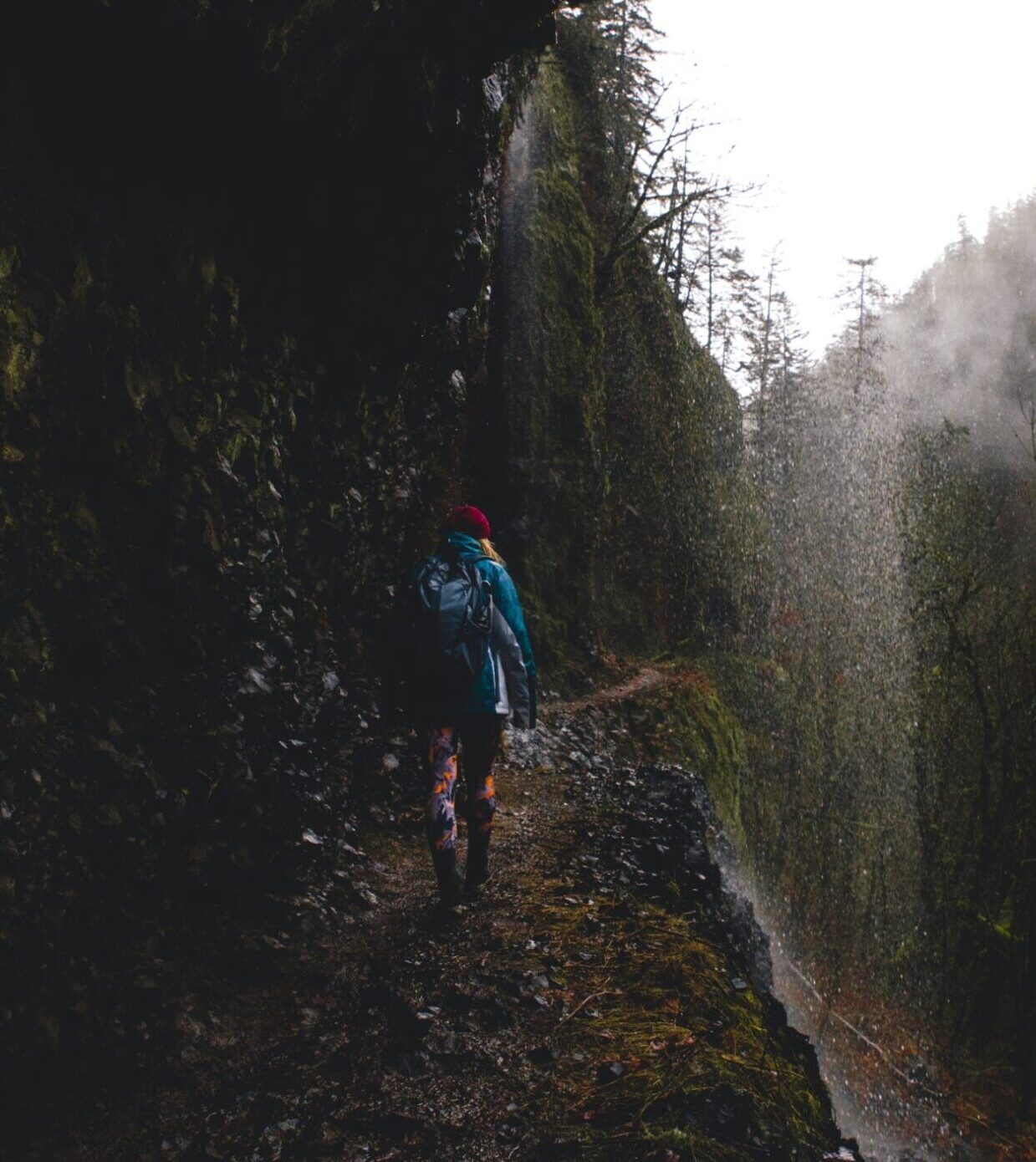 Hiker on the Eagle Creek Trail in Oregon by Kara Stonecypher
