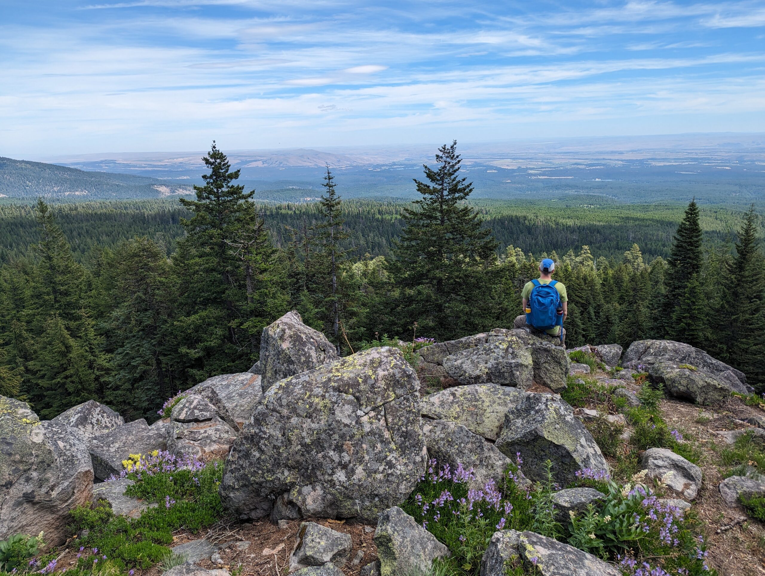 Hiker looking over the Grasshopper Logging Project in Oregon by Oregon Wild