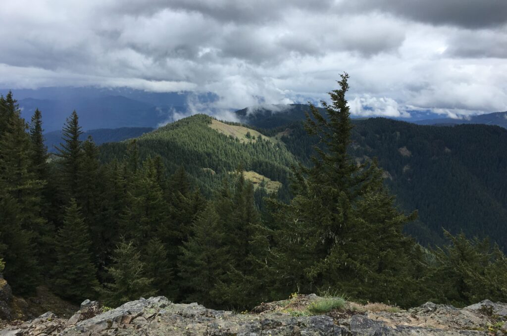 Mount June Hike
