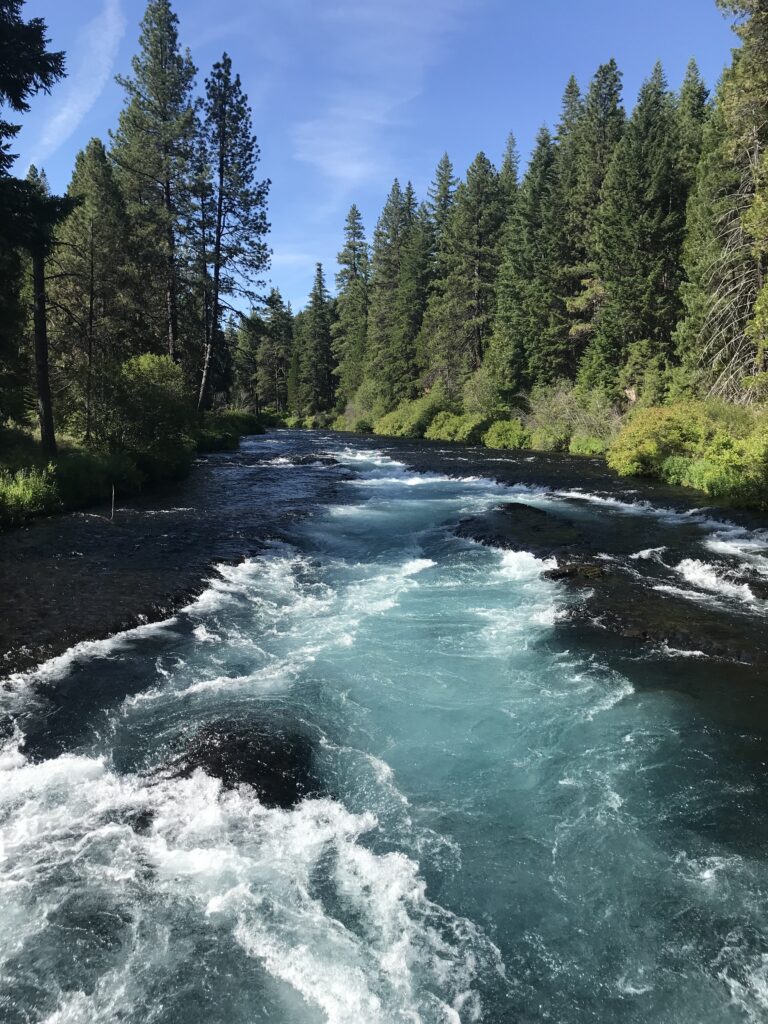 June is National Rivers Month!