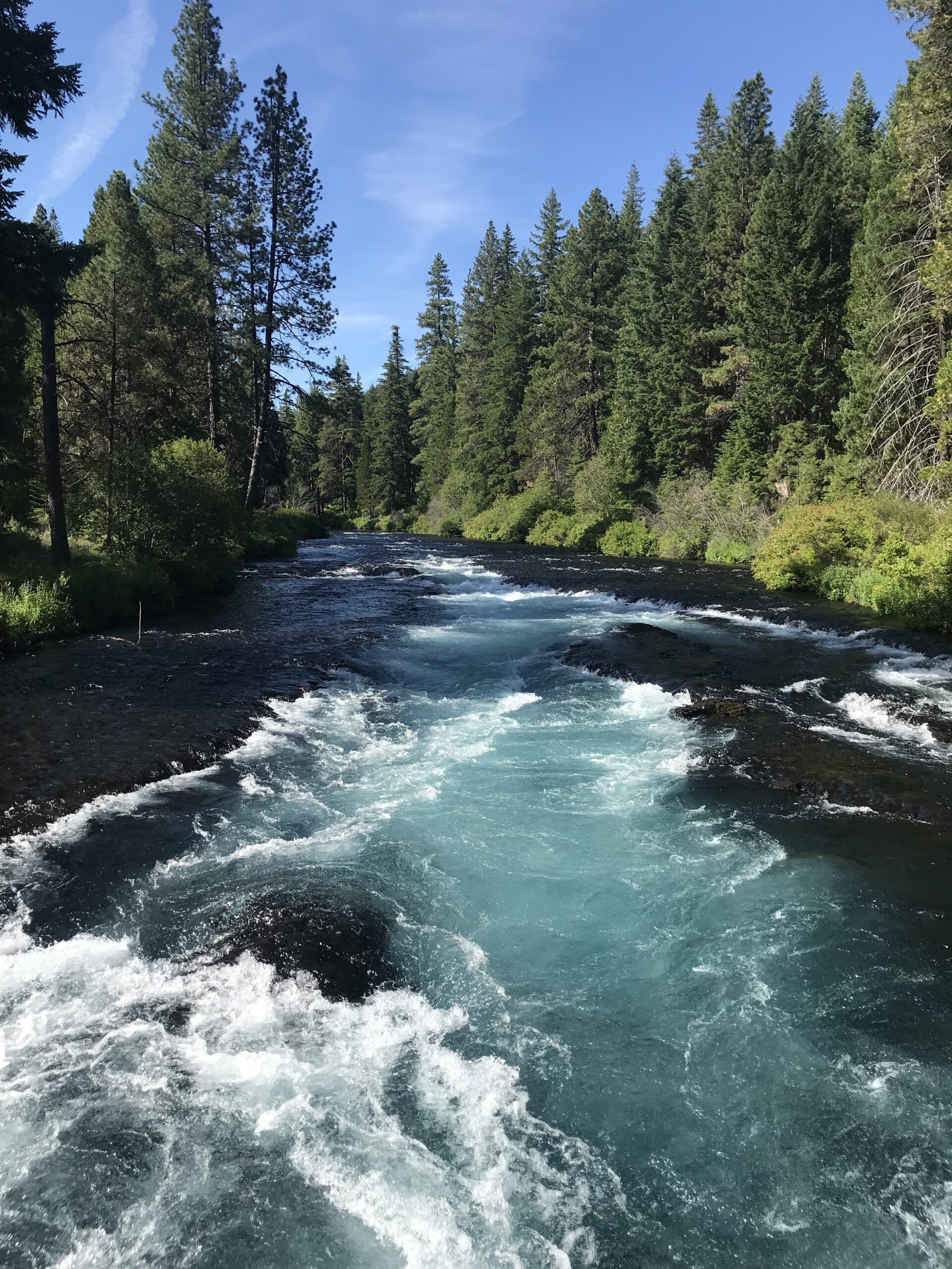 Metolius River Wizard Falls in Oregon by Daniel White