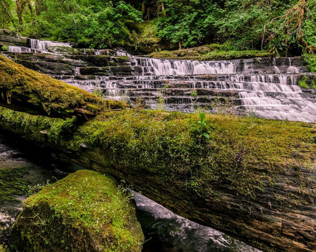 Eugene Celebration: 50 years of keeping Oregon wild