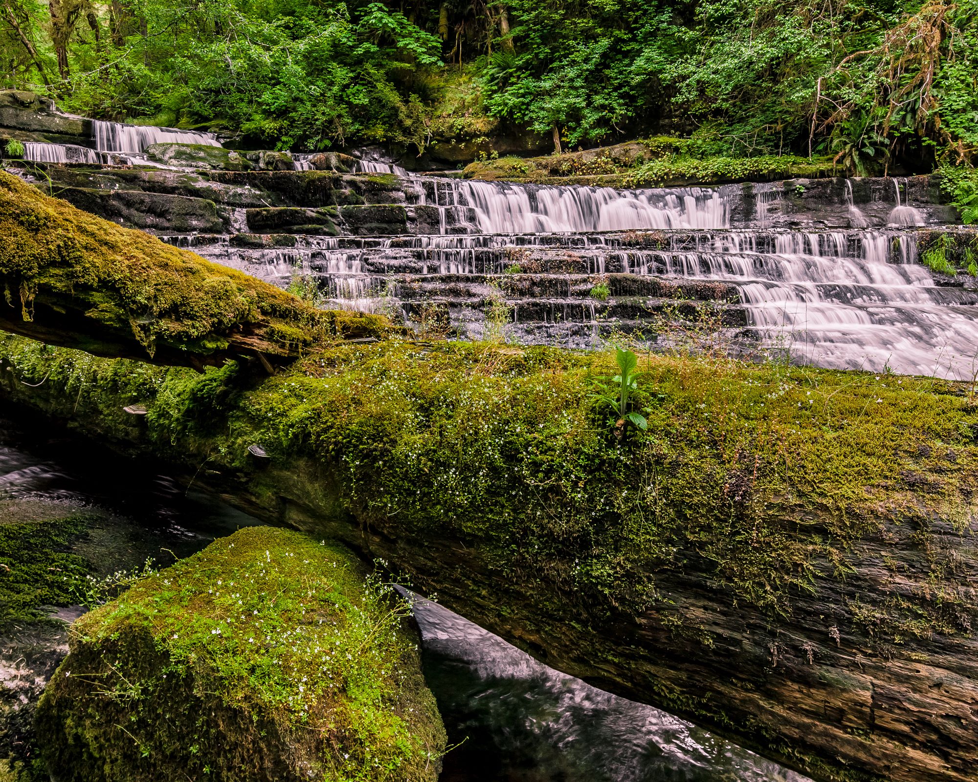 Devil's Staircase Waterfall, Wassen Creek. by David Tvedt