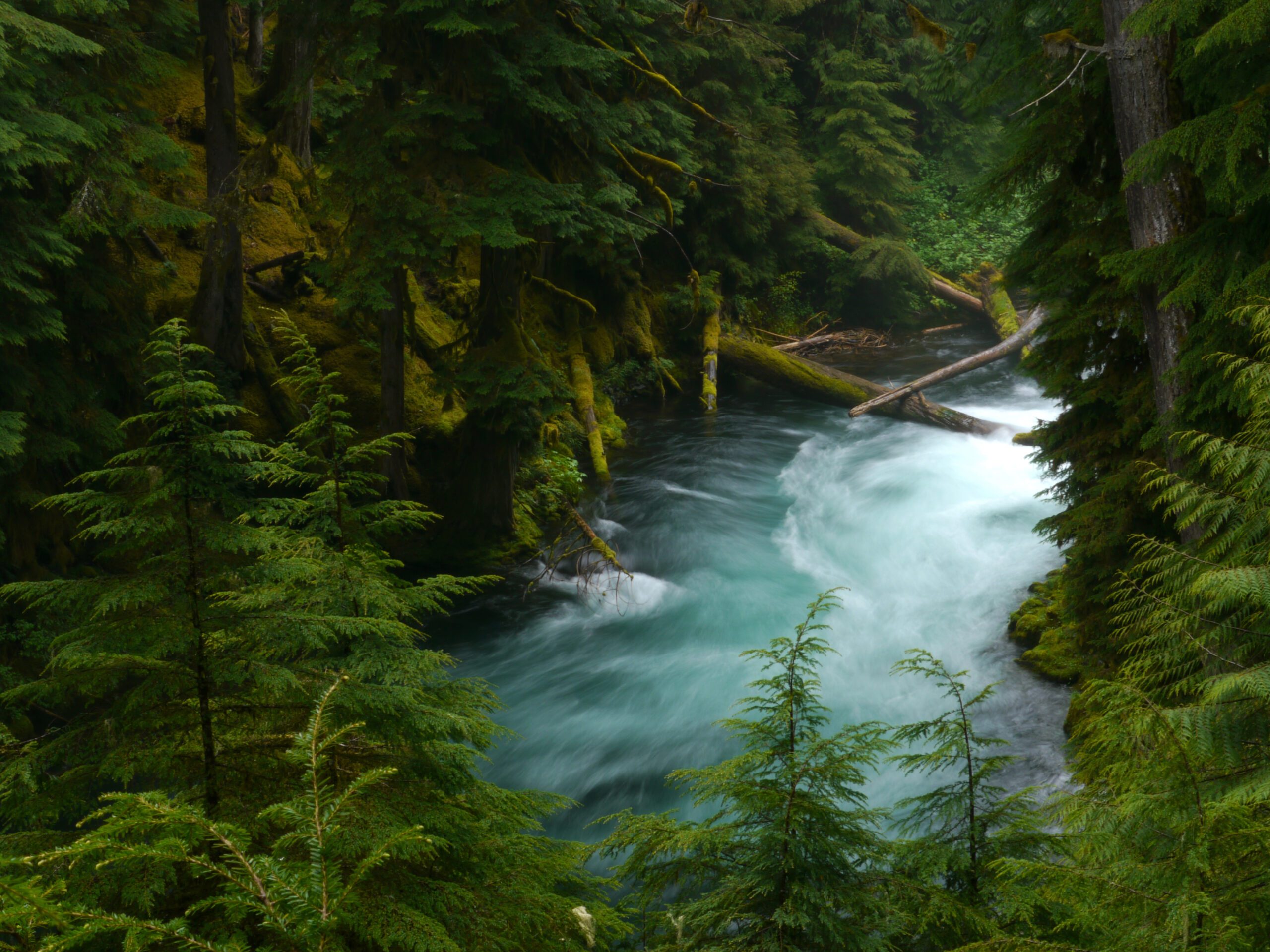 Bright blue water flowing in the McKenzie River in Oregon by Adam Spencer