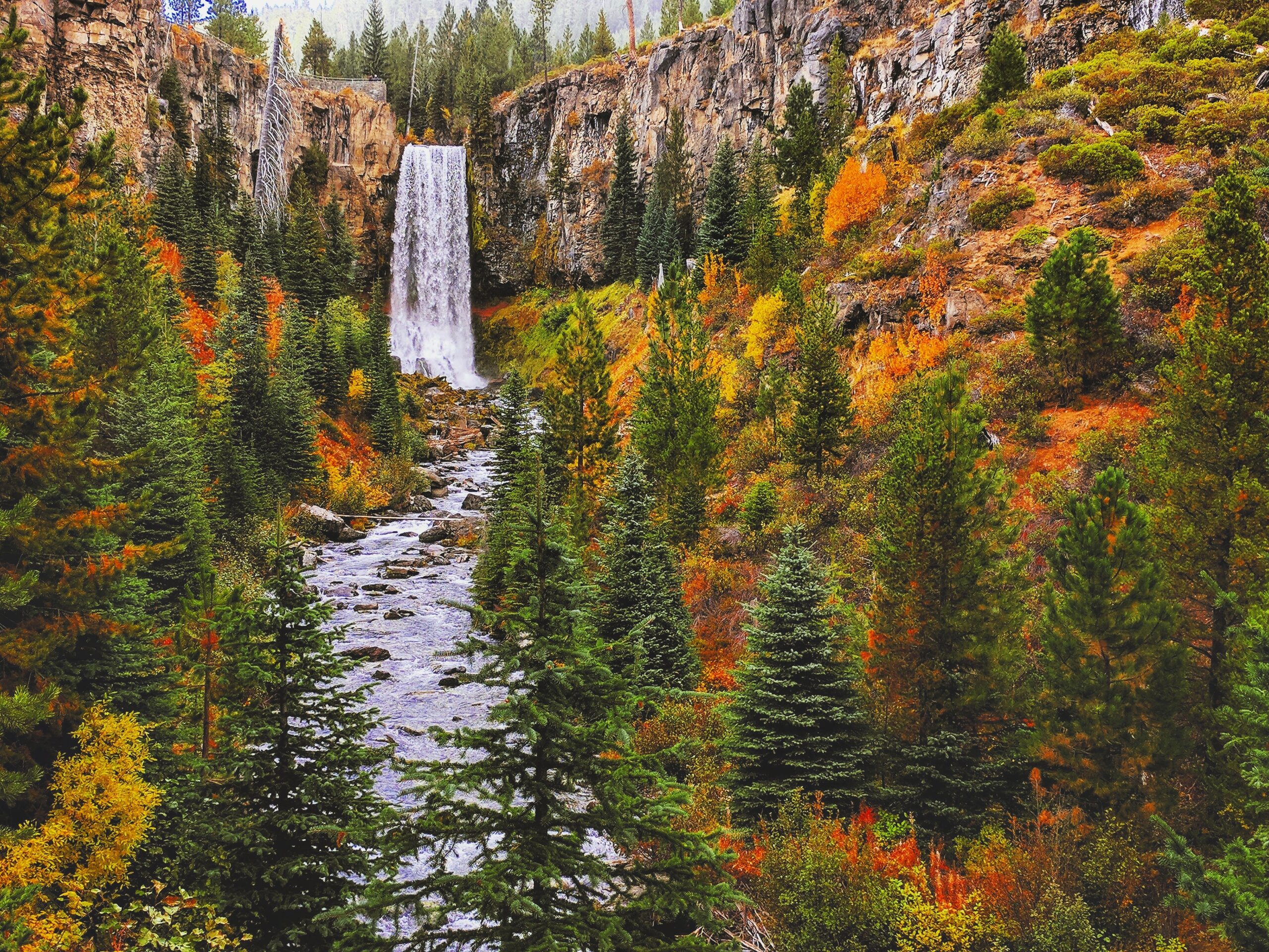 Tumalo Falls, a scenic waterfall outside of Bend, spills over a rocky wall into a forested creek below.