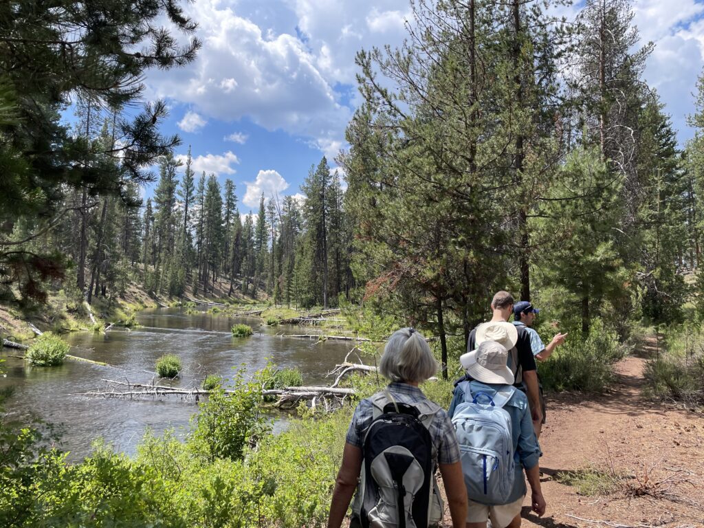 Hikers hike along the Fall River in Central Oregon.