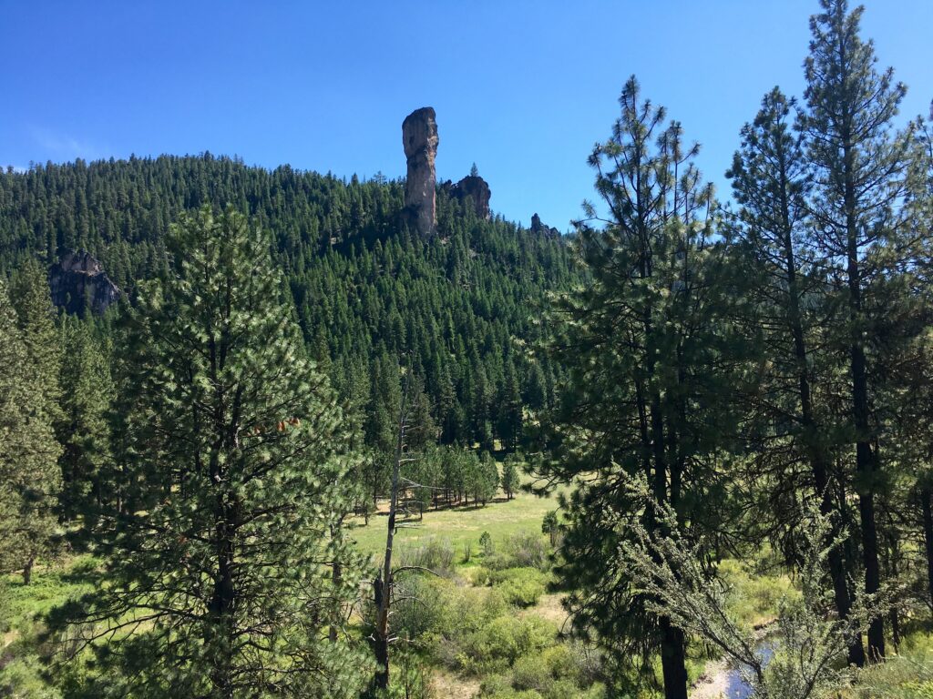 Roadless, Old Growth, and Riparian Areas Get a Break on the Ochoco National Forest