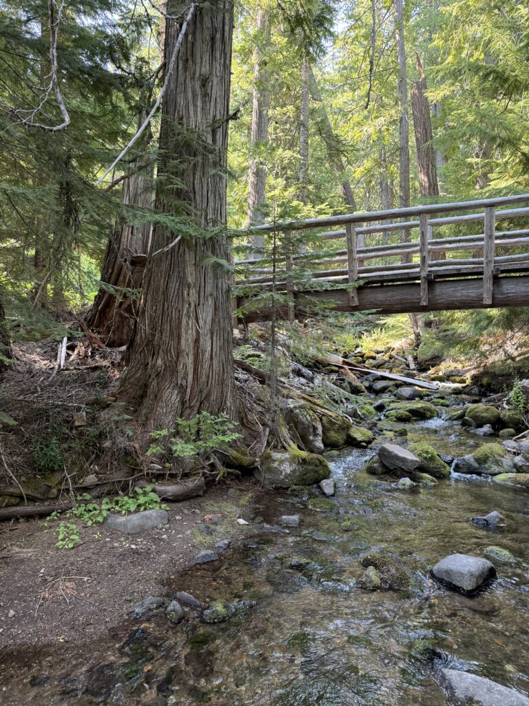 Gumjuwac Creek in the Badger Creek Wilderness