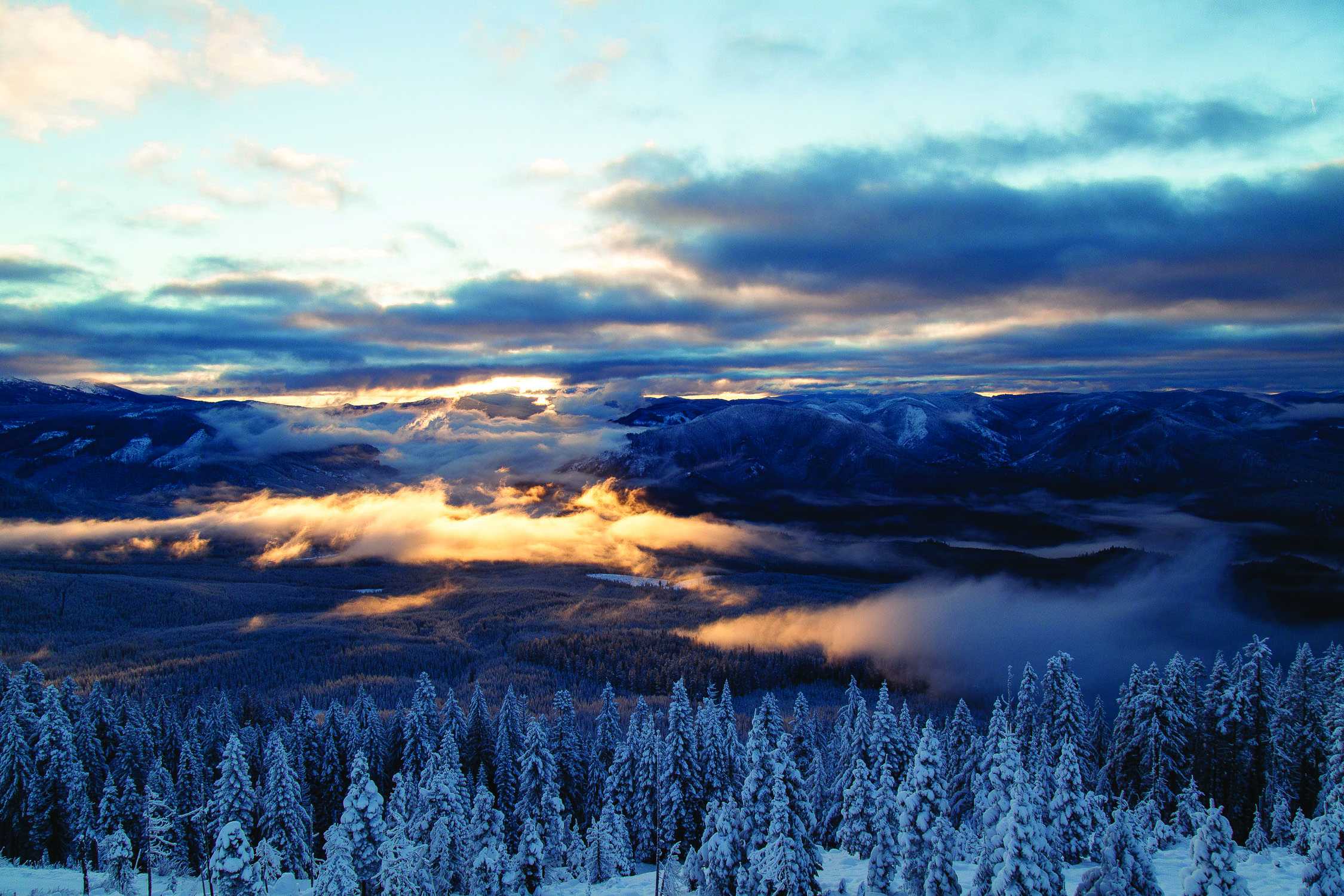 A landscape shot of the Willamette ational Forest, looking out over a broad valley filled with snow covered trees from above the clouds. Photo by Sage Brown