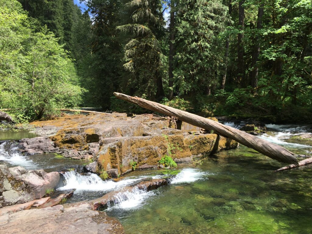 Brice Creek – Trestle Creek Falls