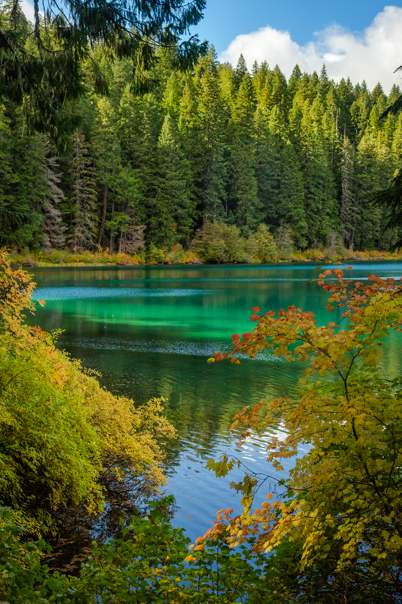 Clear Lake by James Parsons