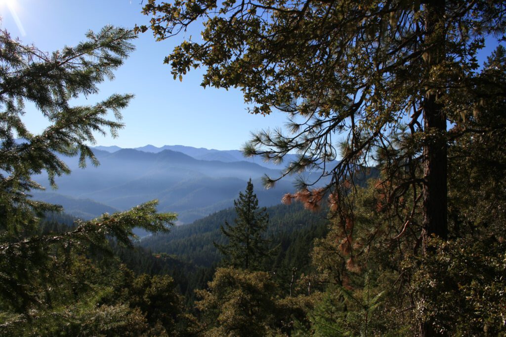 Collings Mountain (Bigfoot Trap)