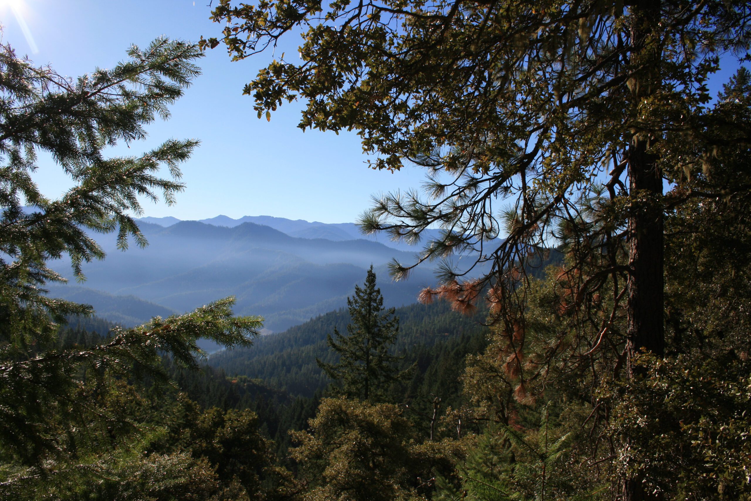 Collings Mountain view by Chandra LeGue