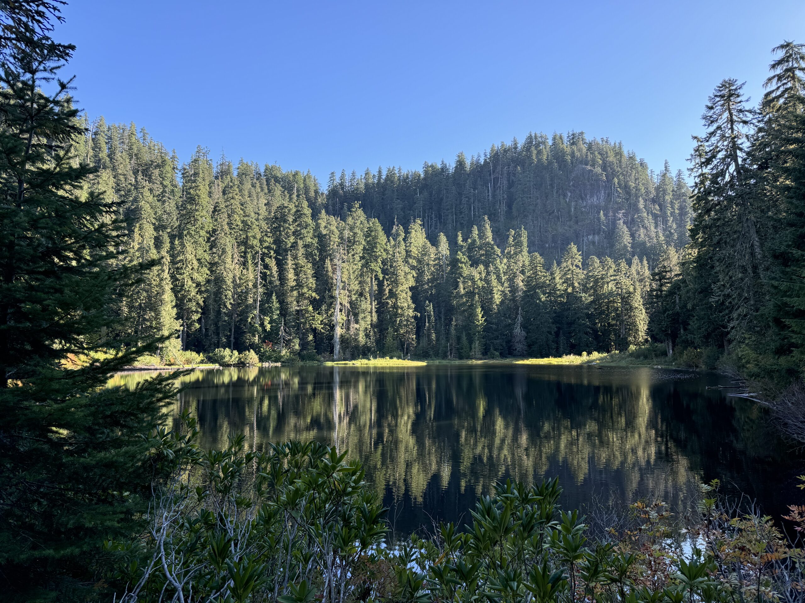 Crabtree Lake by Chandra LeGue