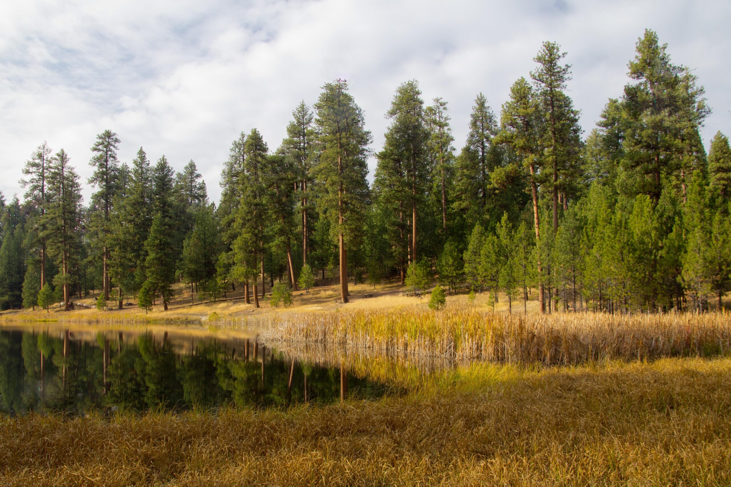 Walton Lake by Darlene Ashley