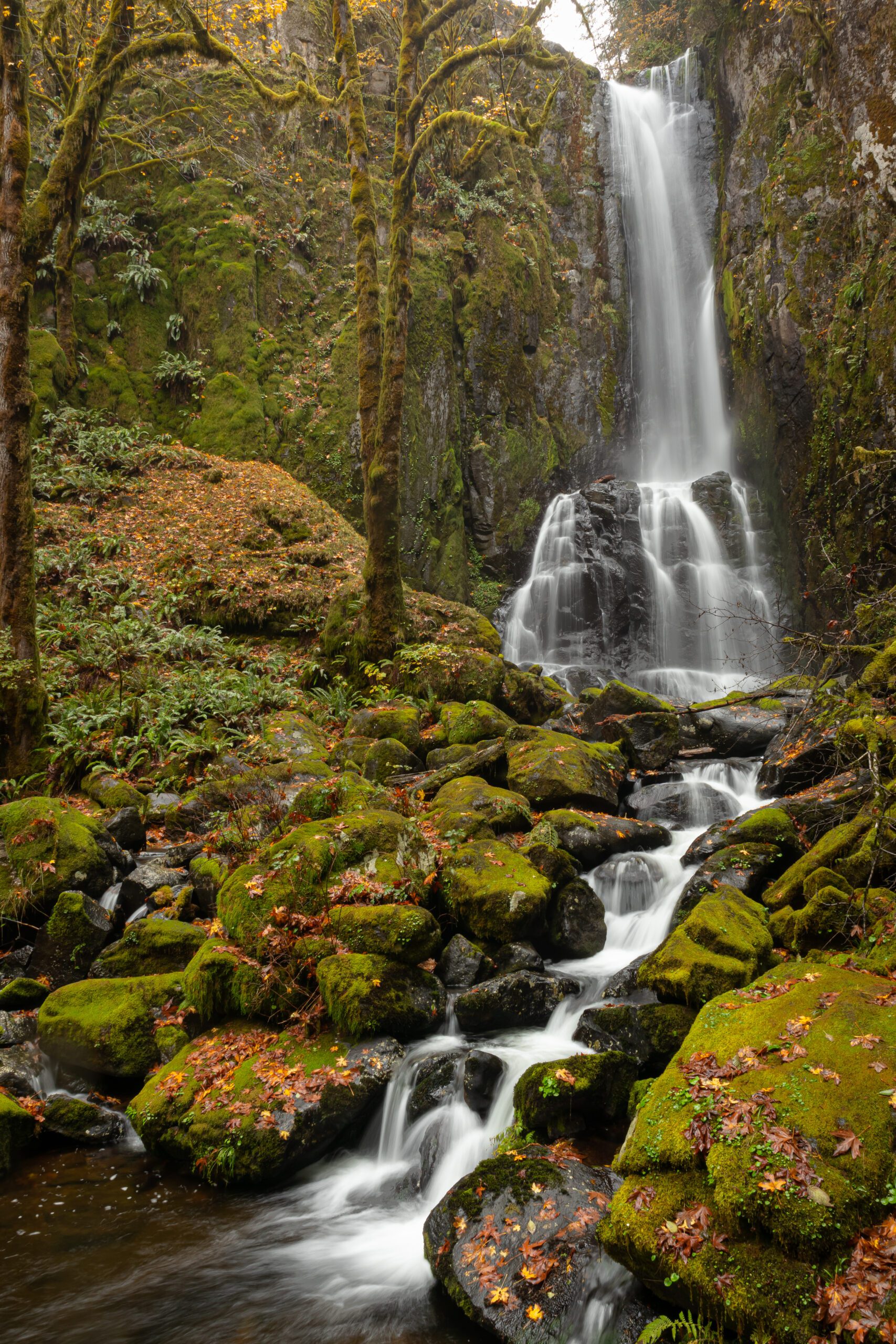 Lower Kentucky Falls by Ken Tierney