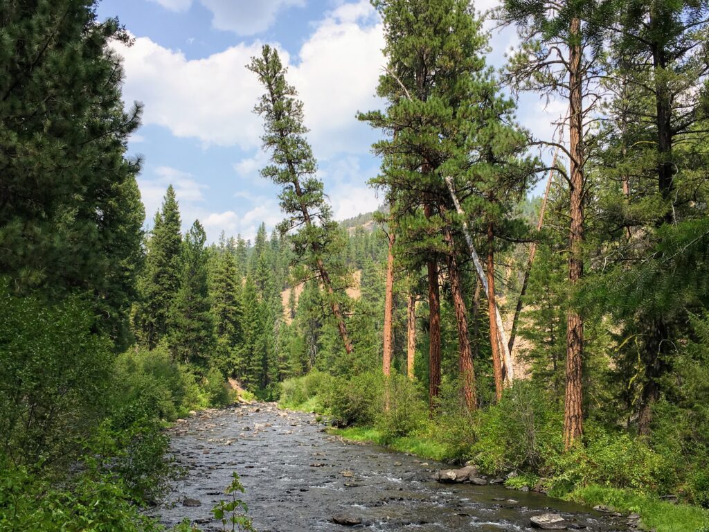 Malheur River Trail