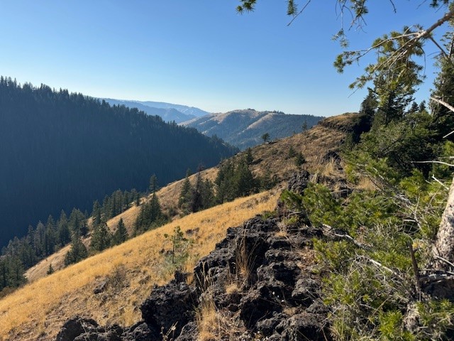 North Fork Umatilla River