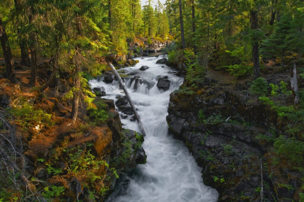 Rogue Gorge & Natural Bridge