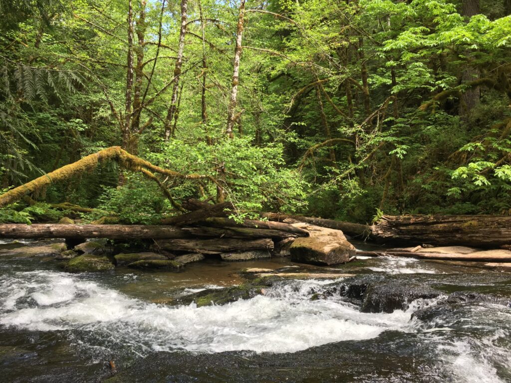 Alsea Falls