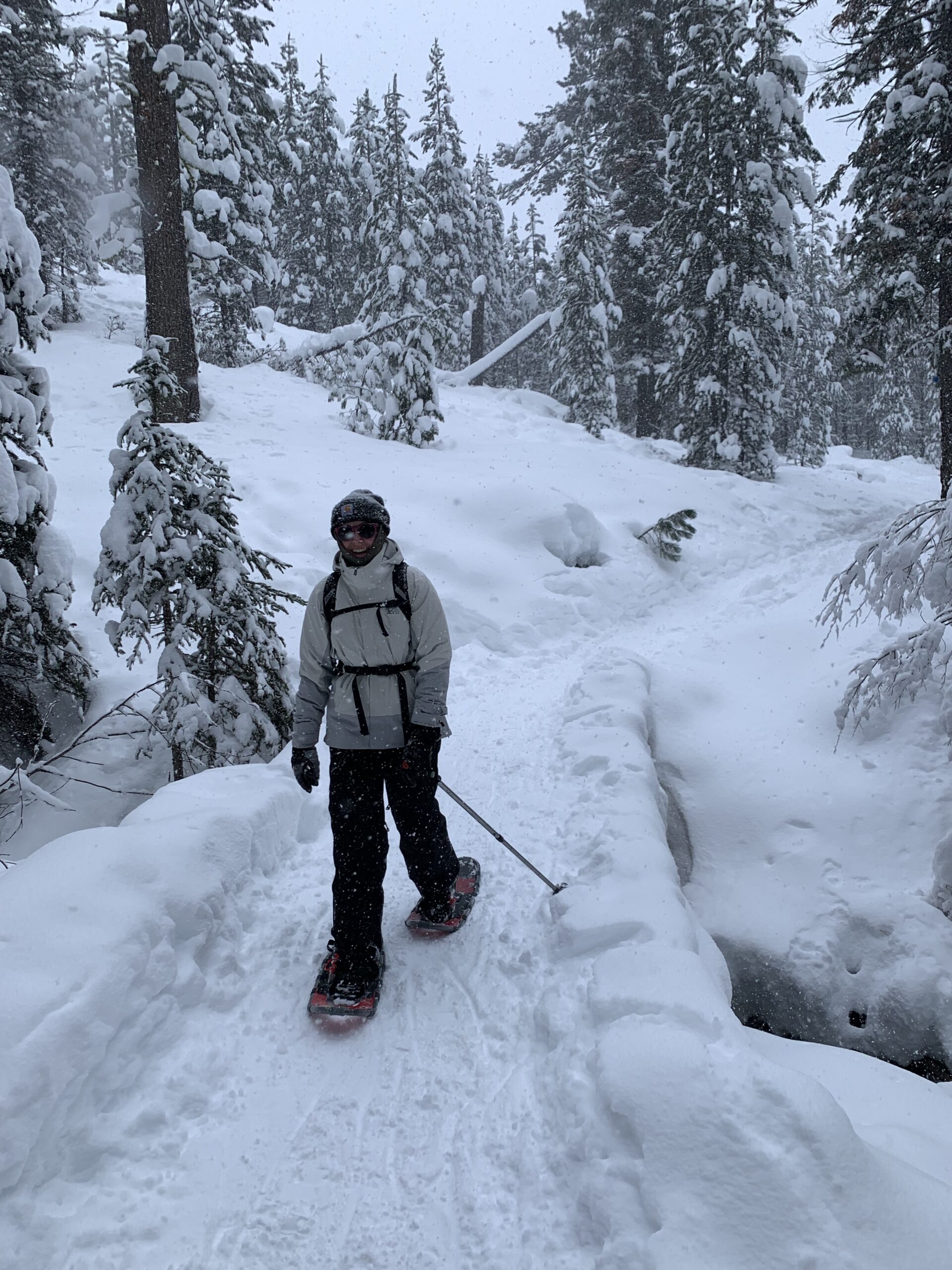 A snowshoer walks through a snowy forest in central Oregon.