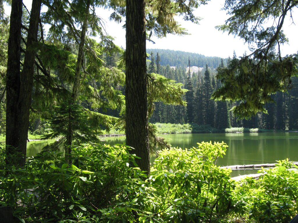 Bullpup Lake