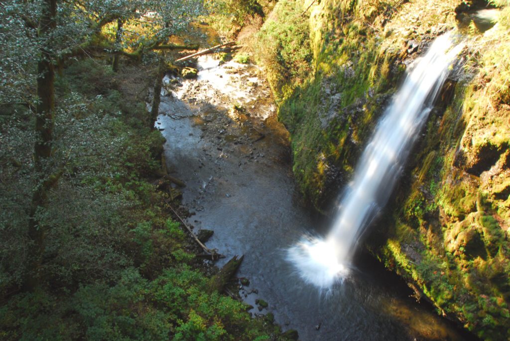 Drift Creek Falls