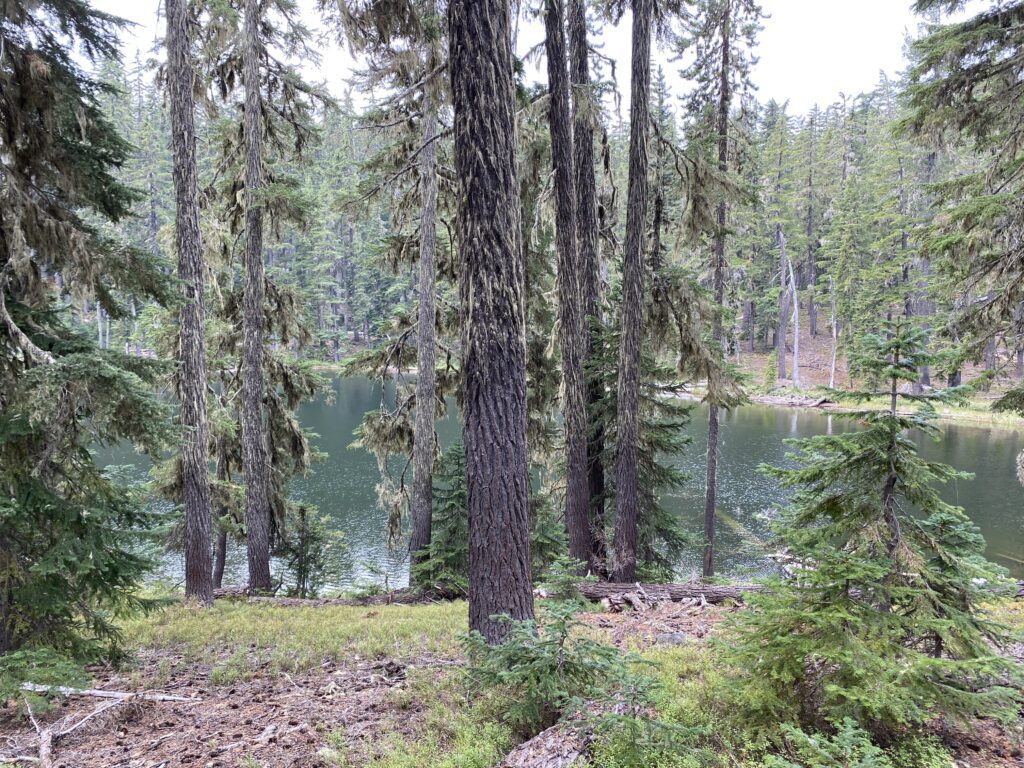 South Waldo Lake