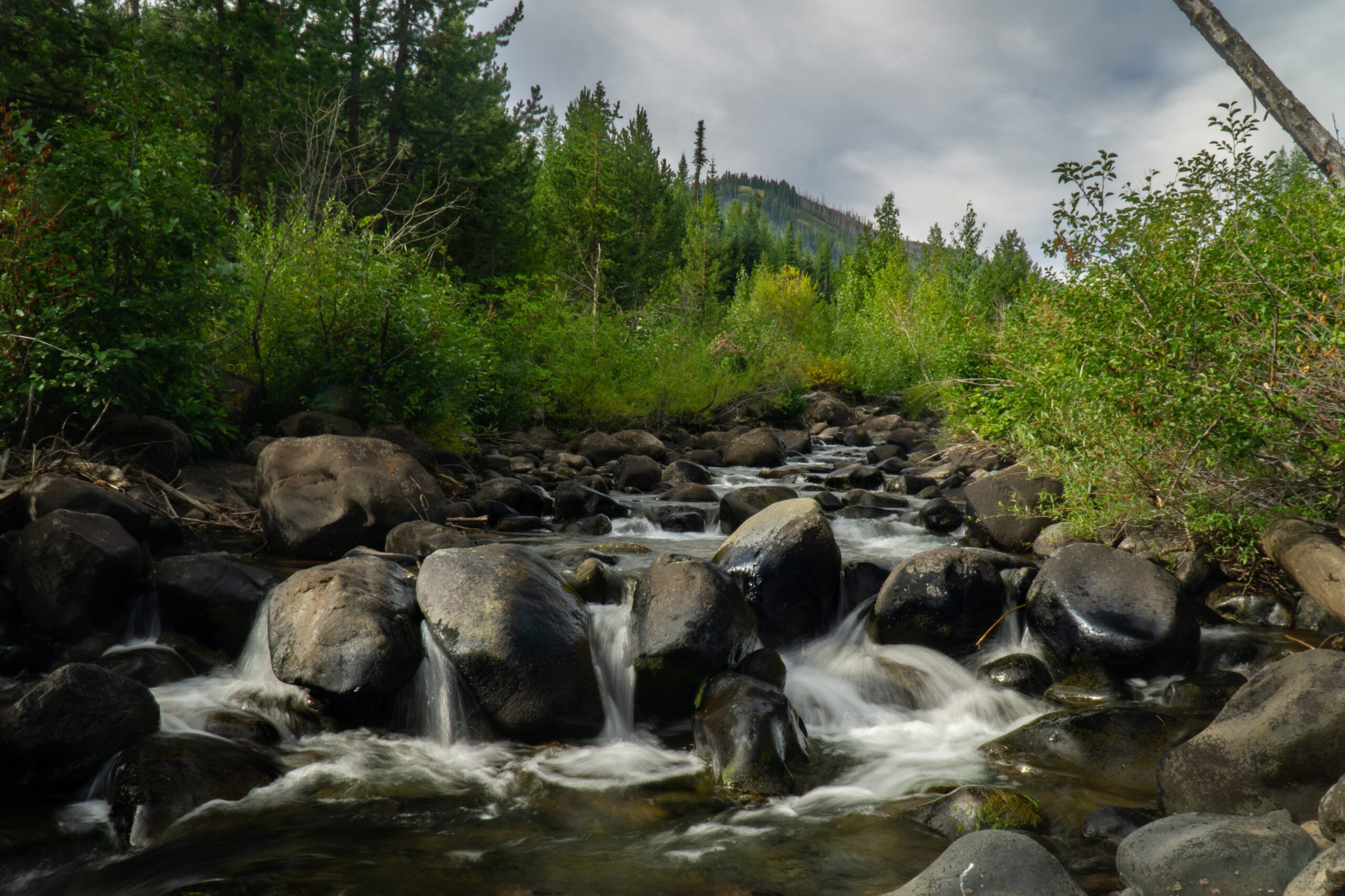 Big Sheep Creek by Daniel Howland