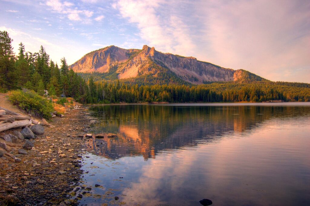 July 2025 Brewsletter