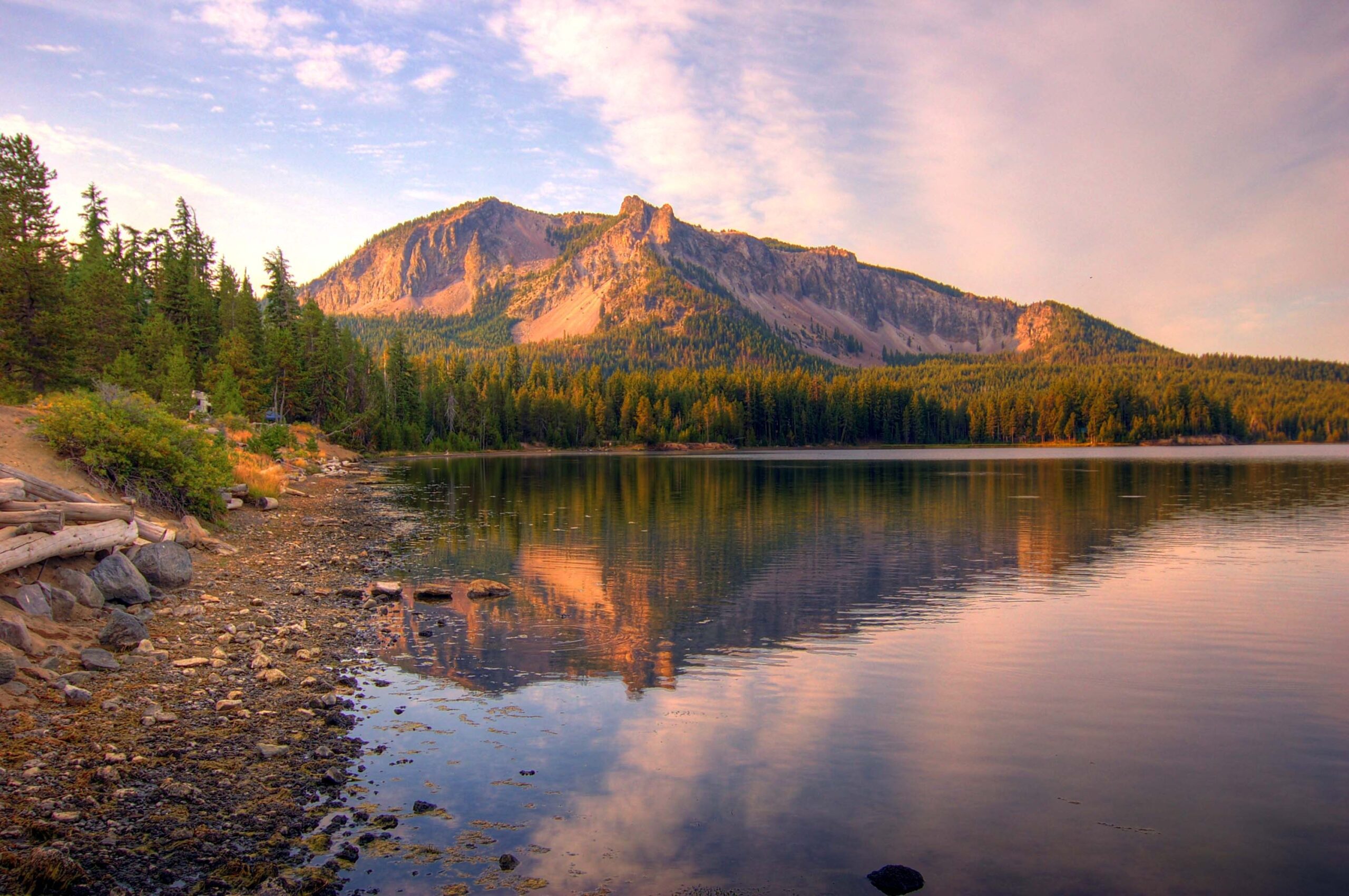 July 2025 Brewsletter