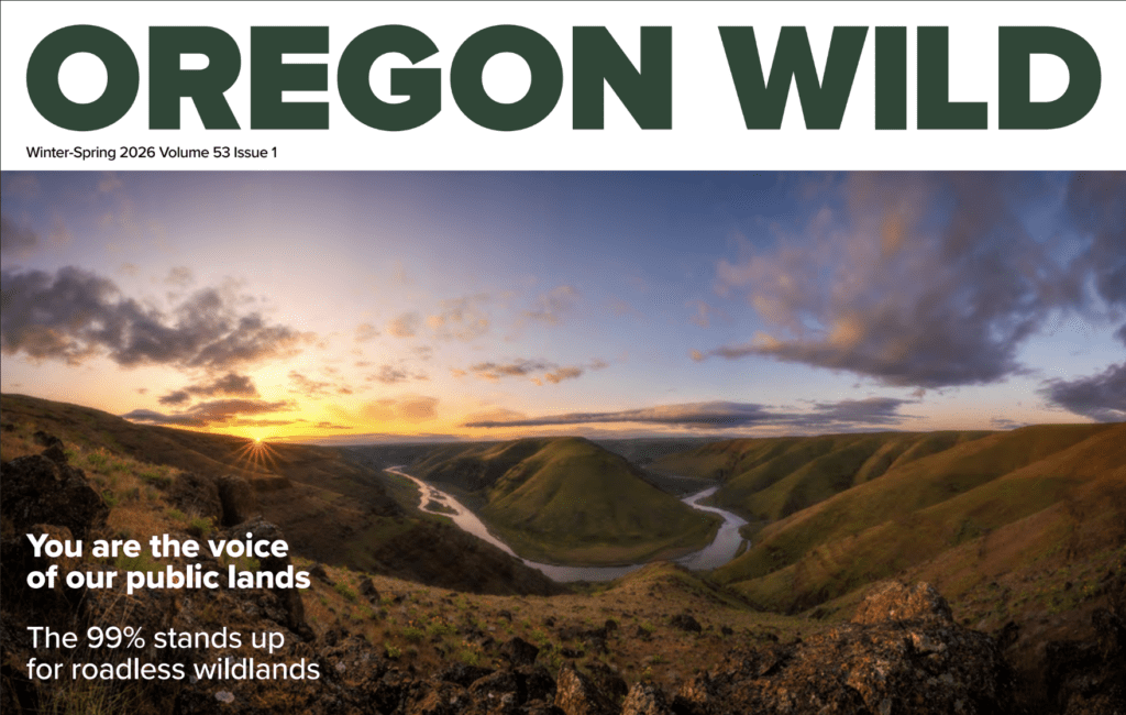 Winter/Spring 2026 Newsletter