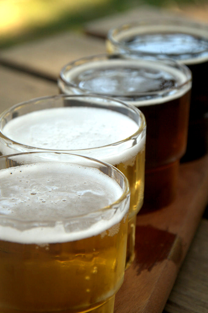 Earth Month Trivia Presented by Oregon Wild and Binary Brewing