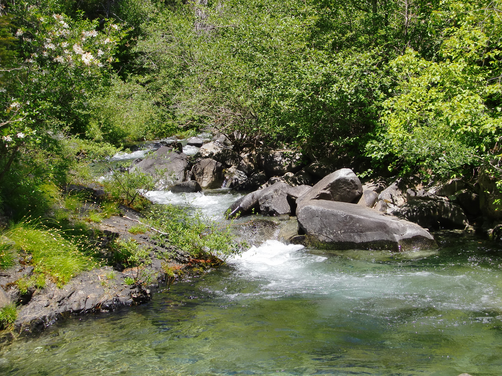 Photo of Briggs Creek by George Sexton