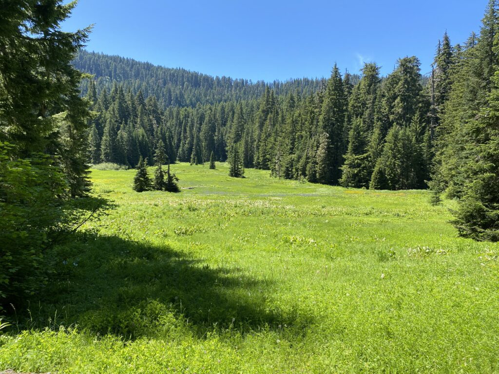 Gordon Lakes and Meadows