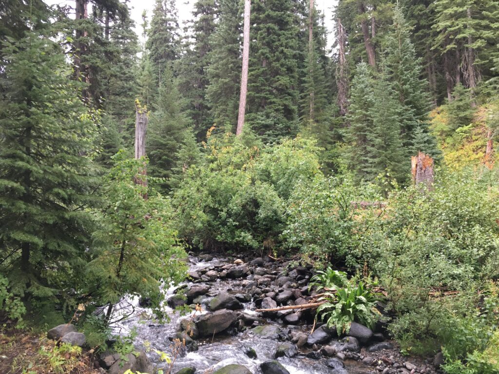 North Fork Catherine Creek