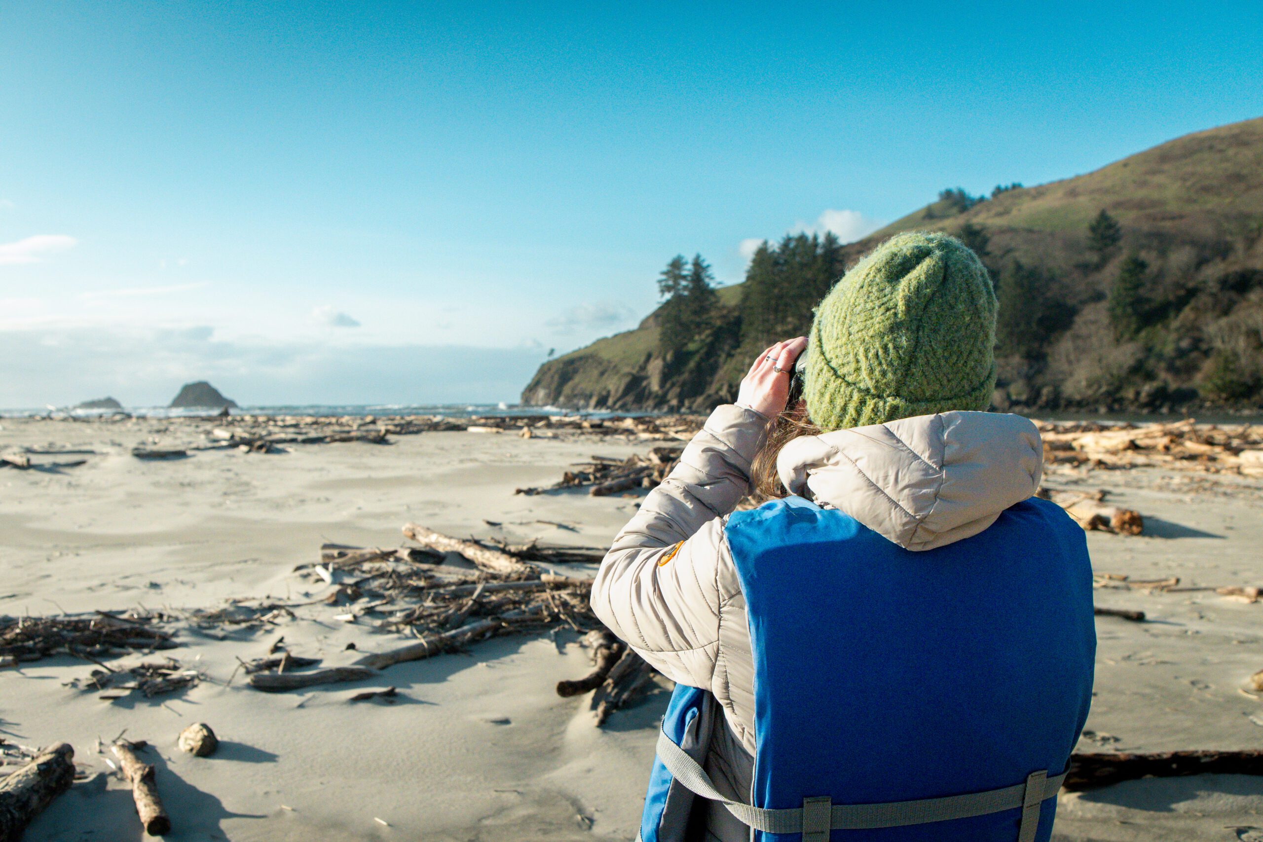 Searching-for-Killer-Whales-Volunteer-sc