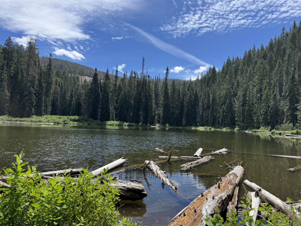 Bullpup Lake