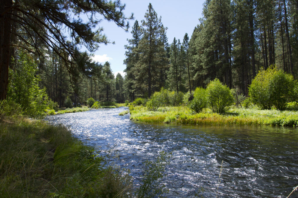 Jack Creek Hike