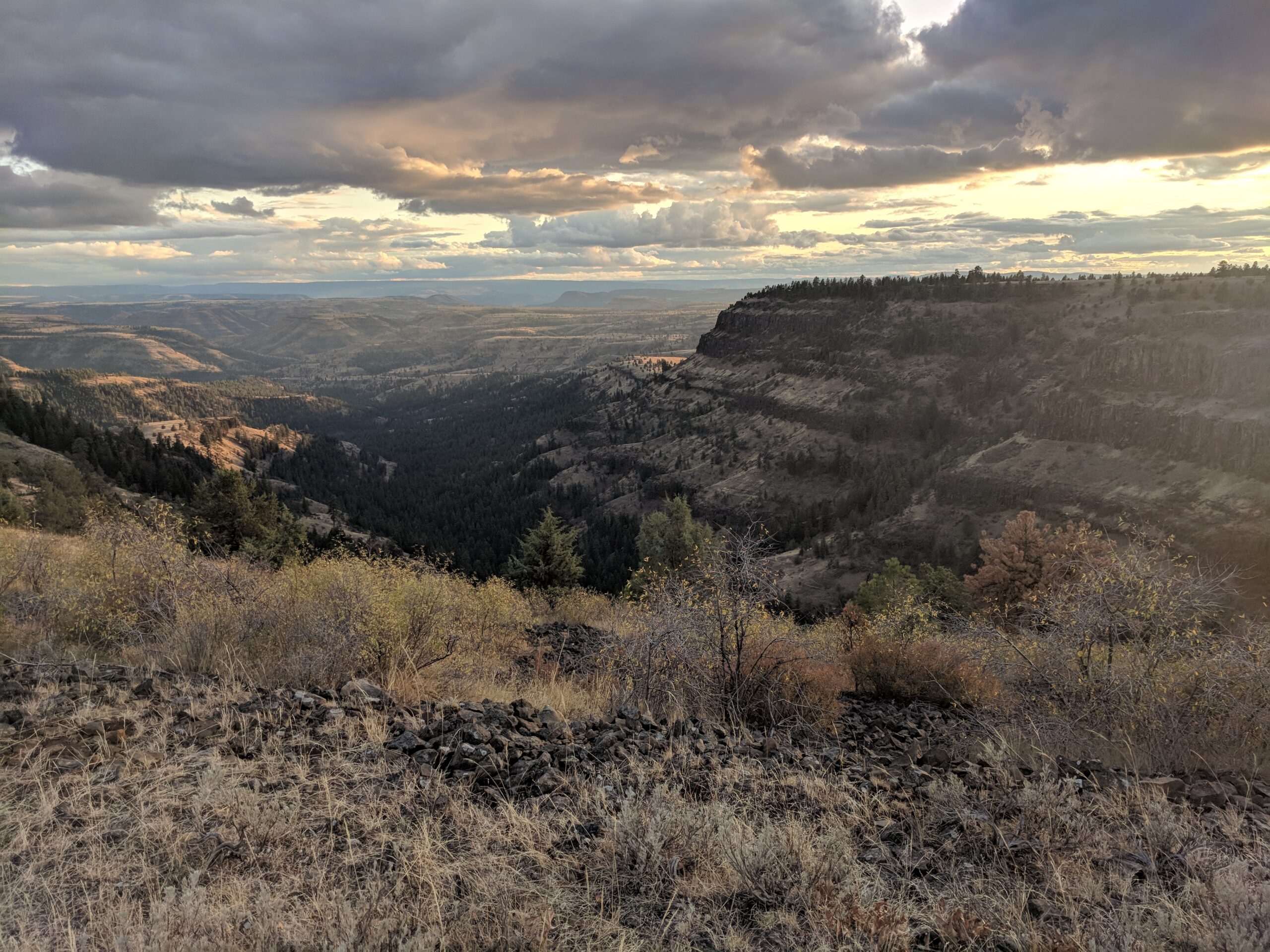 On overlook of the Umatilla National Forest by Rob Klavins