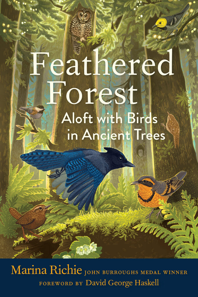 Feathered Forest: Aloft With Birds in Ancient Trees