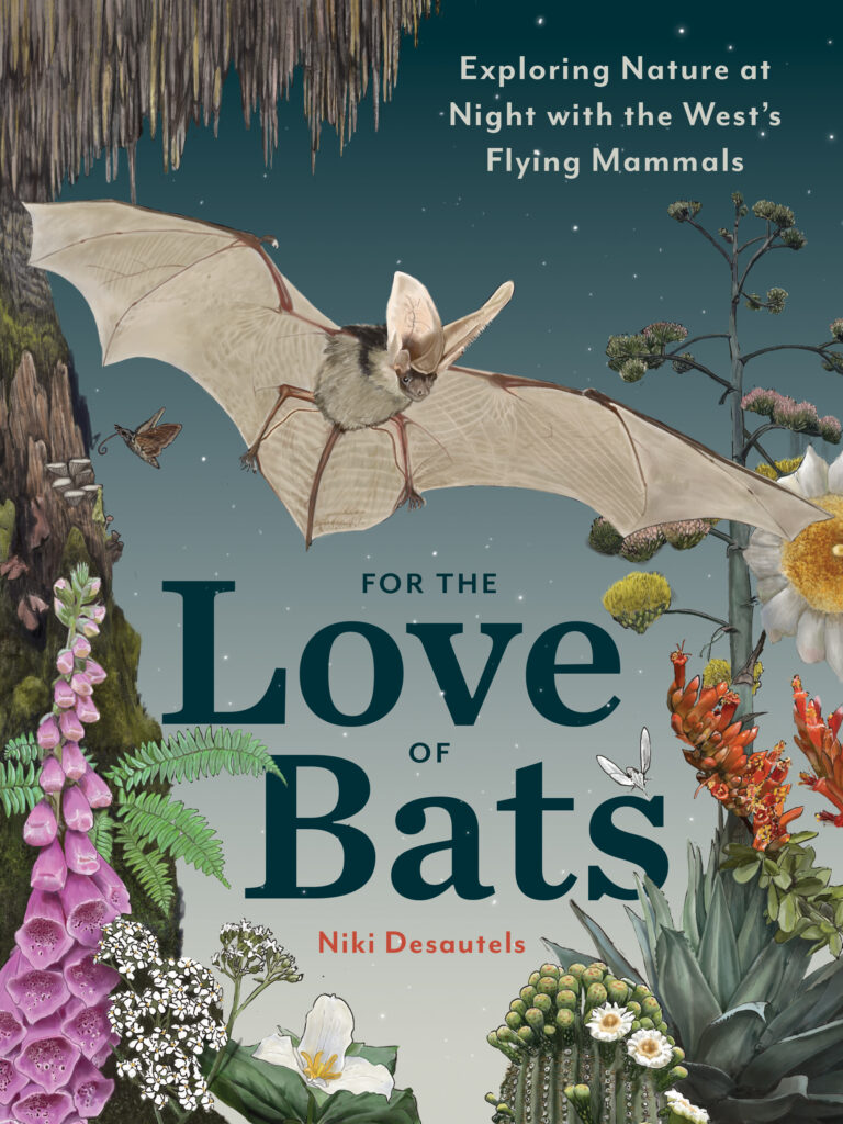 For the Love of Bats: Exploring Nature at Night with the West’s Flying Mammals