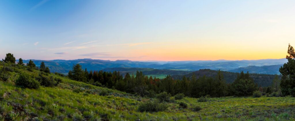 The rolling, forested hills of the Umatilla National Forest at sunset